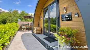 Award-winning Peak District cabin with hot tub and deer field