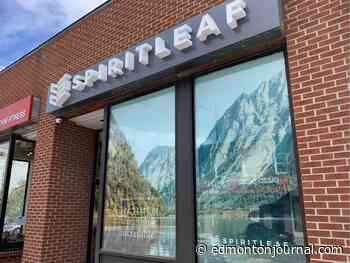 The owner of Ace Liquor and Spiritleaf raises its bet on U.S. cannabis, as its manufacturing arm faces a strategic review