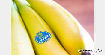 Chiquita waarschuwt voor lagere bananverkopen en stijgende kosten in 2027