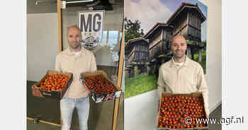"Spaanse paprikateelt gaat gebukt onder trips en ook tomatenaanvoer blijft achter"