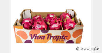 Spaanse teelt papaja en dragonfruit zorgt voor onderscheidend alternatief