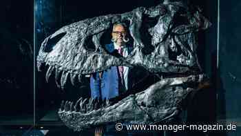 T-Rex und Dinosaurier im Portfolio – immer mehr Superreiche investieren in Dino-Skelette