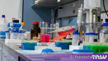 Anthropic buys a one-person biotech and starts its own drug programmes
