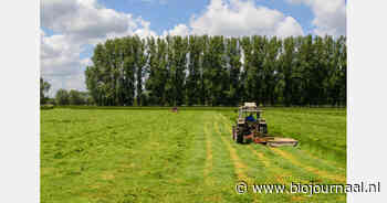 Vlaamse landbouwvisie tot 2050 benoemt rol voor biologische landbouw