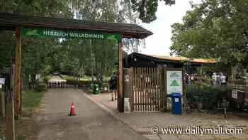 Child 'is mauled by wolf' at German wildlife park