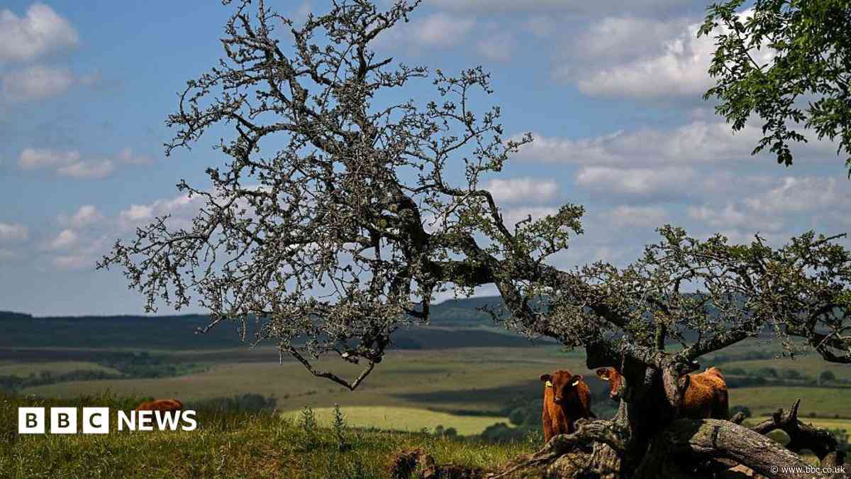 Wildlife appeal closes in on £30m target