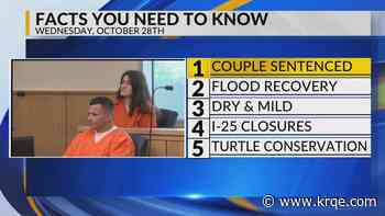 Couple sentenced, Flood recovery, Dry and mild, Road closures, Turtle conservation