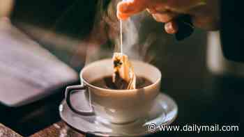 The plastics lurking in your cuppa: Tea bags release BPA, plasticisers and up to 2,500 microplastic particles into your brew, study warns