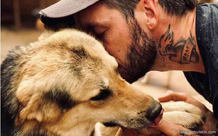 Remembering Jesse: South Island crusader killed during Ukraine animal rescue