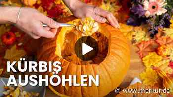 Halloween-Kürbis aushöhlen: Mit diesen 2 Küchenhelfern geht es besonders schnell und einfach