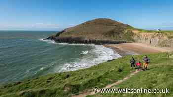 Dangerous animals on popular Ceredigion walking route sees part of path closed off
