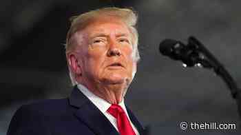 Trump says he approves of Bolsonaro coming to US