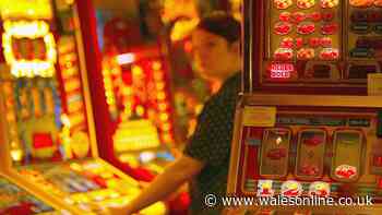 Government gambling machine tax hike announced as Chancellor promises to 'carve out' vape shops