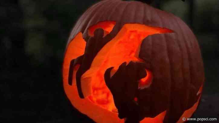 9 nature-inspired pumpkin carving patterns from the National Park Service