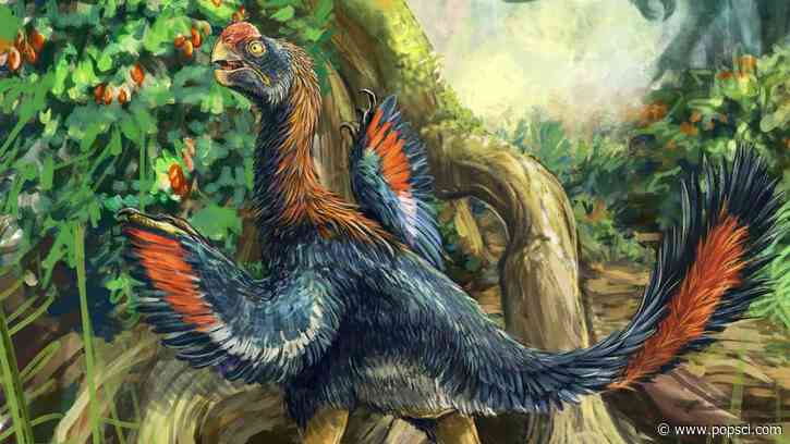 ‘Hell chicken’ dinosaur likely dined on fruit, not meat