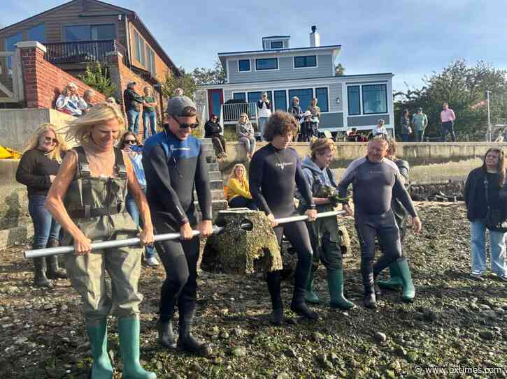 City Island project brings new oyster habitat to Eastchester Bay