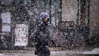 Good morning to a snowy commute: Edmonton weathers its first wintry storm of the season