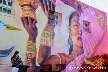 New mural celebrating diversity unveiled at Goodwill on Columbia Pike