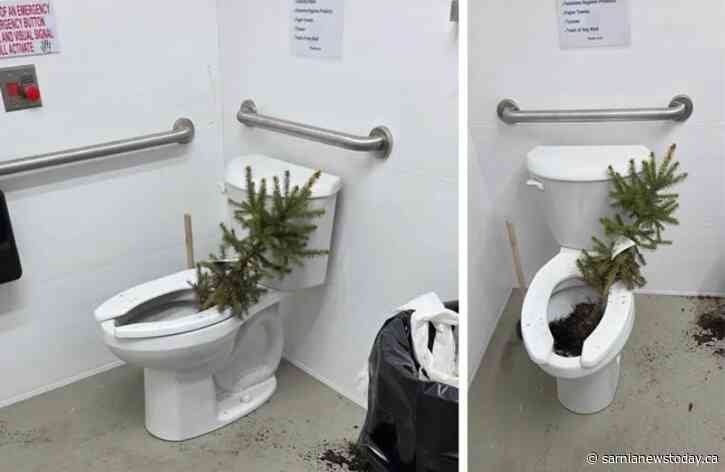 No, you can't flush a tree
