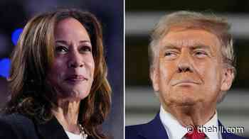 Harris advises Democrats against attempting to impeach Trump