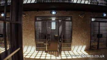 Michigan Inmate Escapes Through Propped-Open Jail Door Before Police Find Him Hiding Beneath Logs