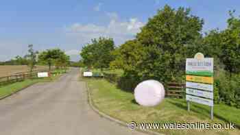 New independent school planned for well-known charity farm near Barry