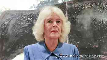 Queen Camilla's hidden fears leave King Charles solo on Caribbean tour