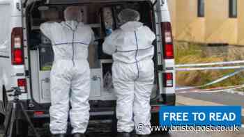 Temple Street attack arrest update as victim remains in hospital