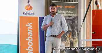 Processing cartels and marketing spend: your cattle levy questions answered