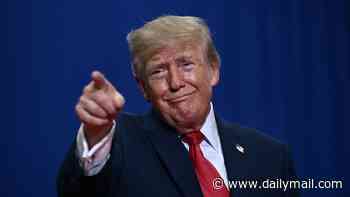 Donald Trump says Norway is a 's***hole'. Now the country he slammed has delivered its withering response