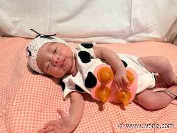 Parkview shares photos of NICU babies in Halloween costumes