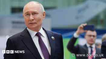Elon Musk is a 'real genius', Putin says after satellite talks with SpaceX boss
