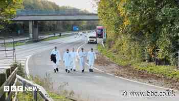 Man in 50s dies in motorway crash