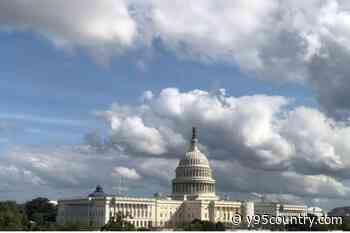 Online Poll: Wyoming U.S. House Race