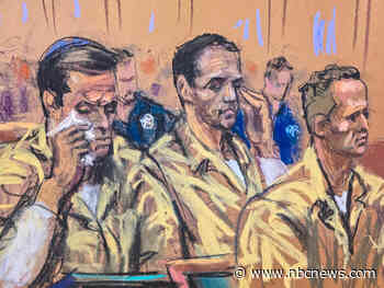 Alexander brothers, ex-luxury real estate brokers, sentenced to 30 years in prison for sex trafficking