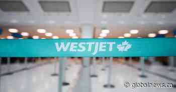 Empty WestJet plane, catering truck collide at Toronto Pearson airport