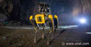 Boston Dynamics Faces Employee Protest Over Robot Deal With ICE