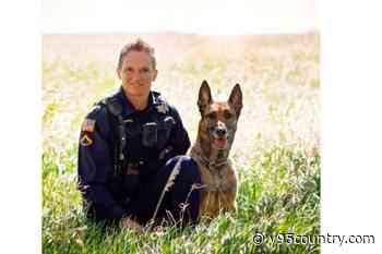 Cheyenne Police Department Mourns Passing Of ”Gentle Soul” K9 Tyler