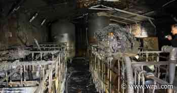 Illegal moonshine distillery seized, man charged after NC explosion