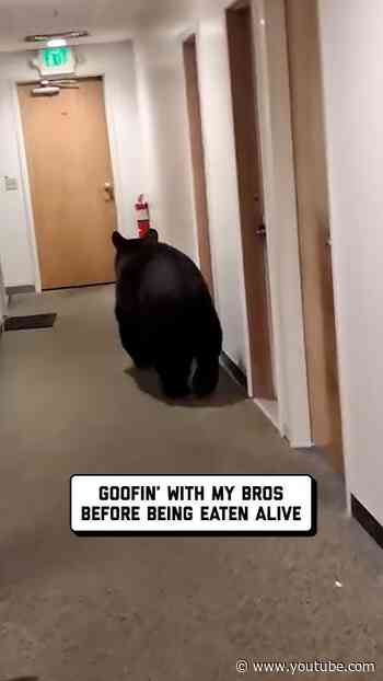 pov: dorm life in alaska 🐻 🤣