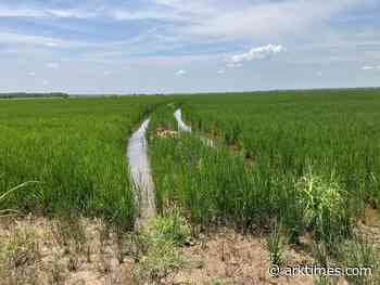 What’s with farmers and Trump?