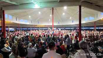 First Nations must lead Indian Act reform, Onion Lake Cree Nation chief says