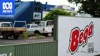Bega Group requests more milk from FNQ farmers