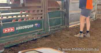 Global livestock handling manufacturer to close Australian site