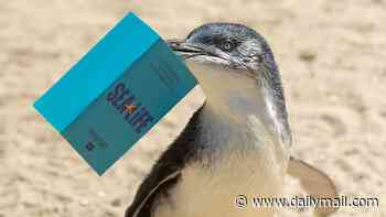 Some of the world's smallest penguins will get to fly for the first time... as they ditch the UK for Spain