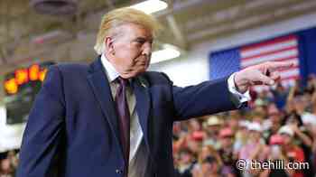 Trump calls alleged Alaska Senate spoiler scheme 'voter fraud at the highest level' 