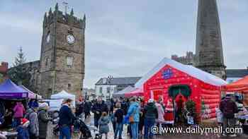 Christmas fair ditches live reindeer after 'woke' animal row