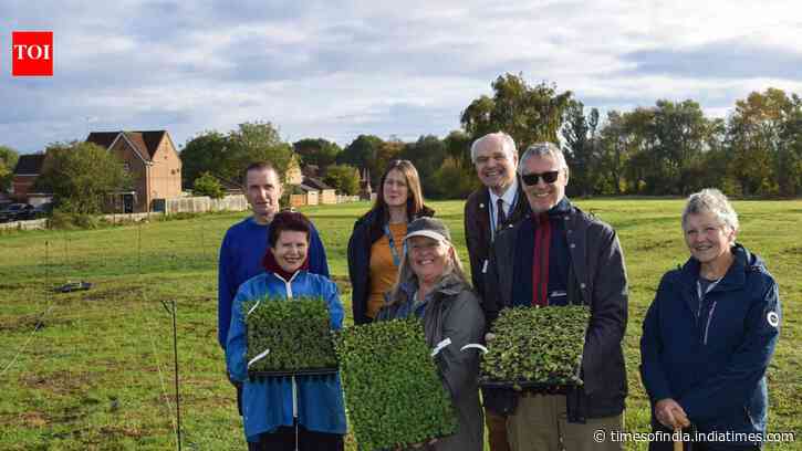 Hundreds of wildflowers planted in Norfolk to support bees and butterflies