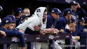 Rays fall 4-1 in Game 5 and lose World Series