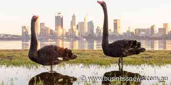 $7 million extra to manage risk to Swan, Canning rivers